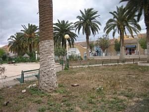 LE TELAGH Jardin Public 05 